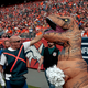Photo: Joe Mahoney/AP